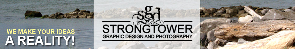 strongtower_graphic_design_and_photography_web_graphics_department001016.jpg